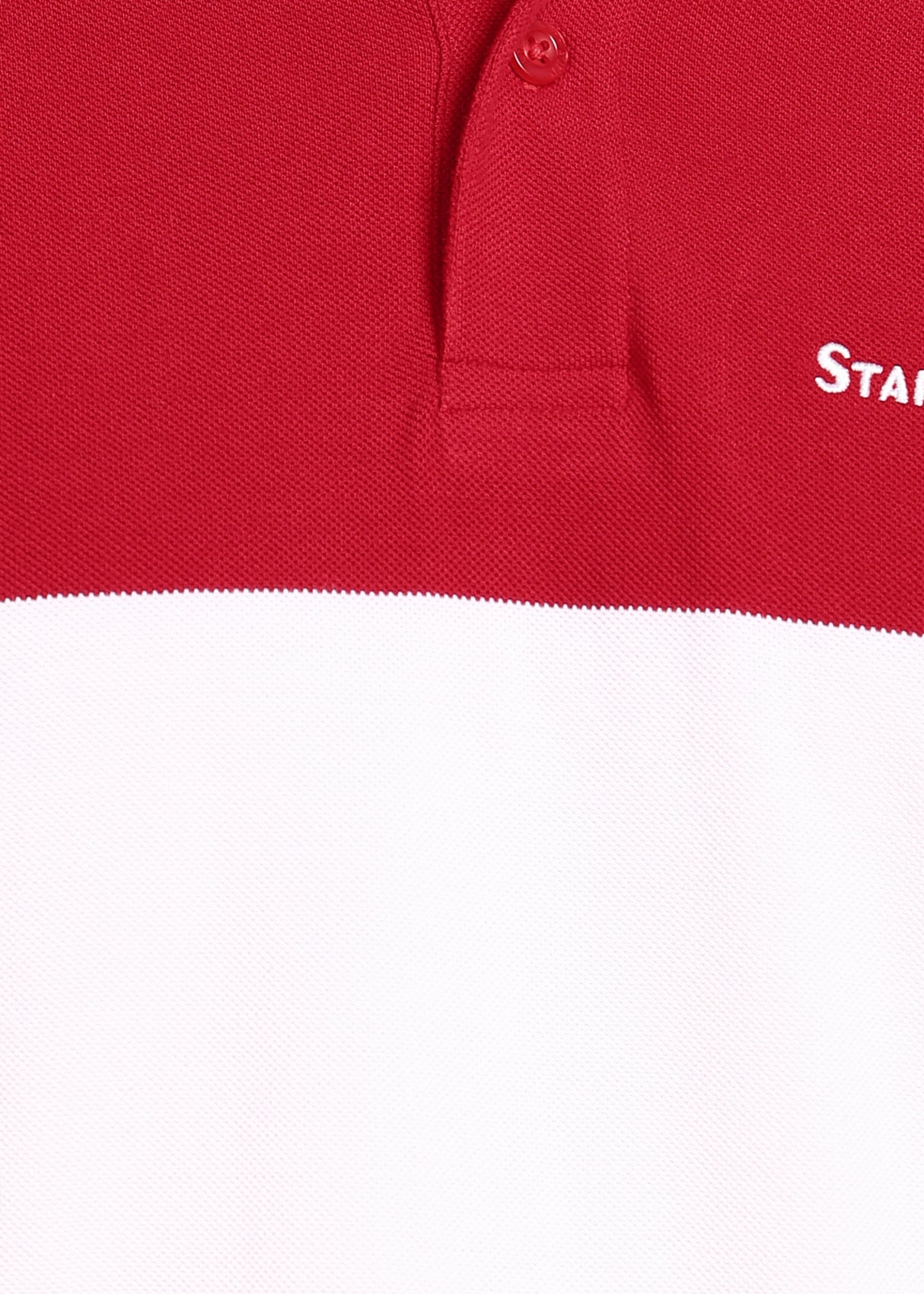 Striped Polo - Regular Fit